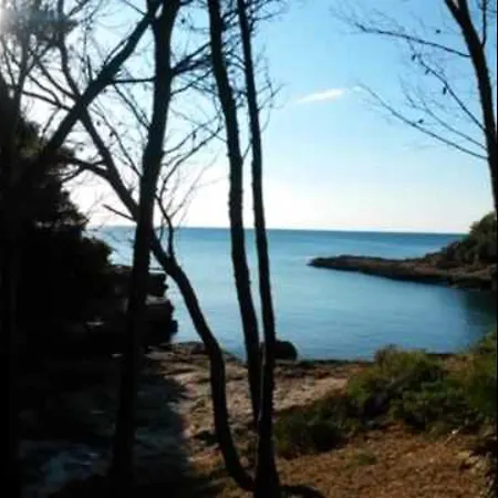 Apartment Pau Casals *